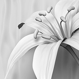 Download 3d cad models, 3d max textures, 3d help