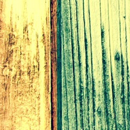 Plank