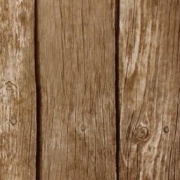 Plank
