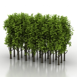 3D Trees preview