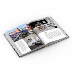 3D Book preview