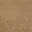 Cardboard