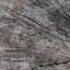 Log