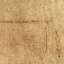 Cardboard
