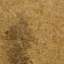 Cardboard