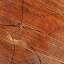 Log