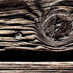 Plank