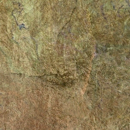 Tile