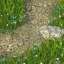 Grass