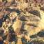Sand