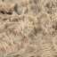 Fur