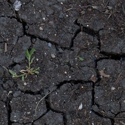 Ground