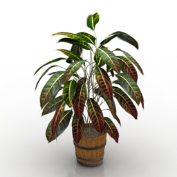 plant 3 3D Model Preview #c169bc16