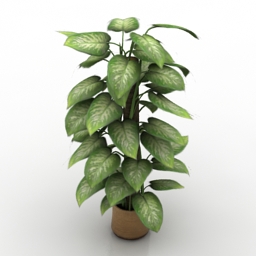 plant 1 3D Model Preview #aaf3246d