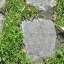 Paving