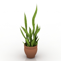 plant house 3D Model Preview #3cccba10