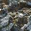 Stone