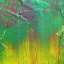 Paint