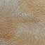 Stucco