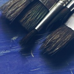 Brush