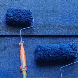 Paint roller