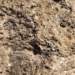 Stone