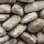 Stone