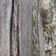 Planks