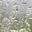 Drops
