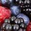 Berries
