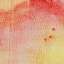 Paint