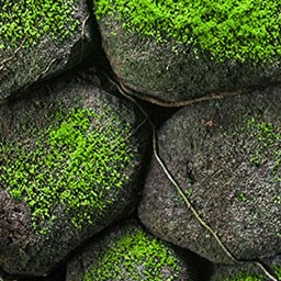 Download 3d cad models, 3d max textures, 3d help