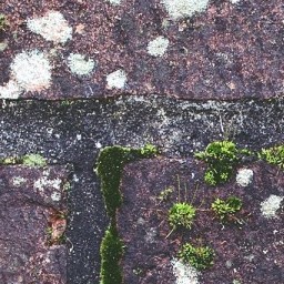 Brick