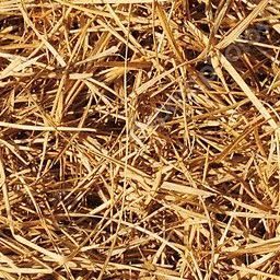 Straw