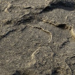 Stone