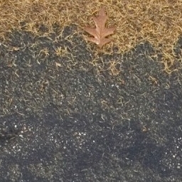 Road