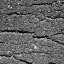 Asphalt