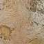 Stucco