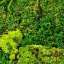 Artificial turf