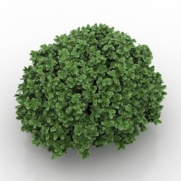 plant flower 3D Model Preview #80ed7027