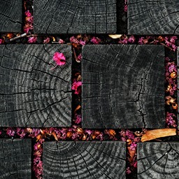 Download 3d cad models, 3d max textures, 3d help