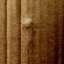 Cardboard