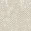 Stucco