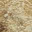 Stucco