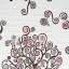 Textile