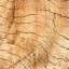 Log