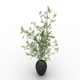 plant house 3D Model Preview #319789d0