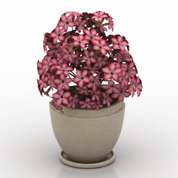 flowers vase 3D Model Preview #969bbbde