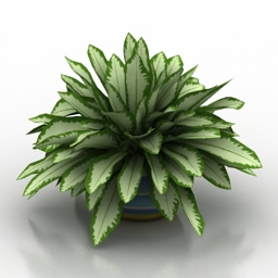 plant house vase 3D Model Preview #508d4642