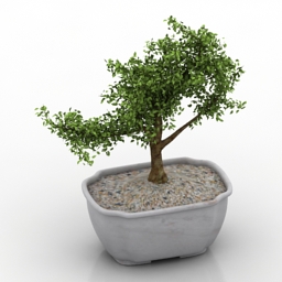plant decor tree 3D Model Preview #76b56271